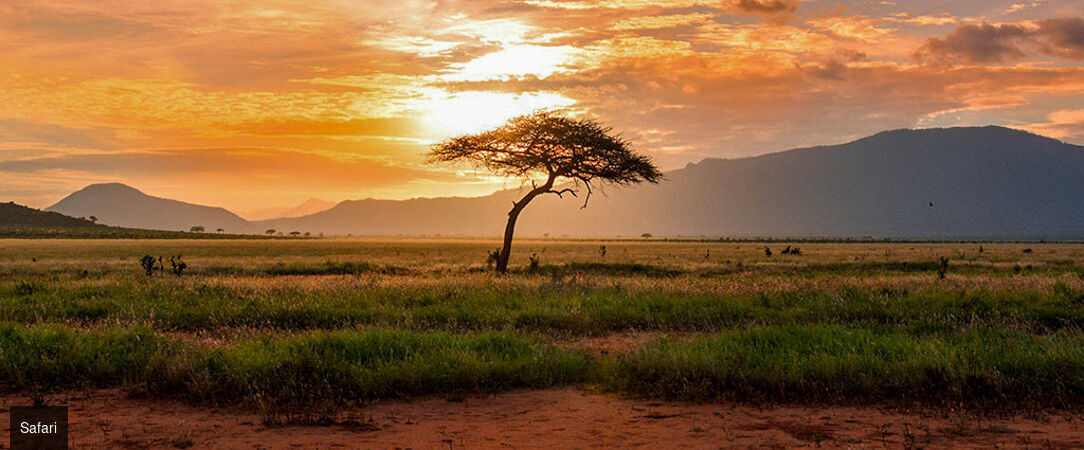 Safari au Kenya & rivages de l'océan Indien - Safari de 7 à 14 nuits entre les savanes sauvages du parc de Tsavo et les plages immaculées de Malindi. - Kenya