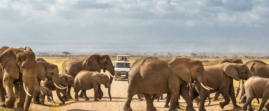 Safari au Kenya & rivages de l'océan Indien - Safari de 7 à 14 nuits entre les savanes sauvages du parc de Tsavo et les plages immaculées de Malindi. - Kenya