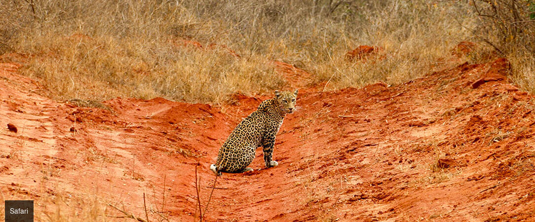 Safari au Kenya & rivages de l'océan Indien - Safari de 7 à 14 nuits entre les savanes sauvages du parc de Tsavo et les plages immaculées de Malindi. - Kenya