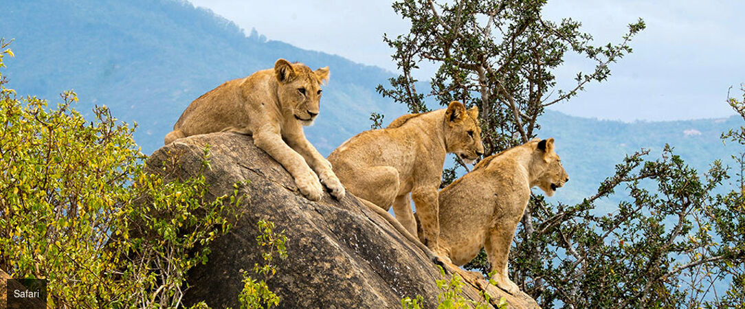 Safari au Kenya & rivages de l'océan Indien - Safari de 7 à 14 nuits entre les savanes sauvages du parc de Tsavo et les plages immaculées de Malindi. - Kenya