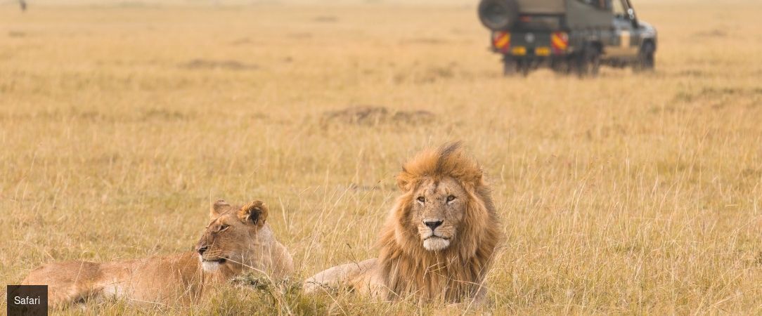 Safari au Kenya & rivages de l'océan Indien - Safari de 7 à 14 nuits entre les savanes sauvages du parc de Tsavo et les plages immaculées de Malindi. - Kenya