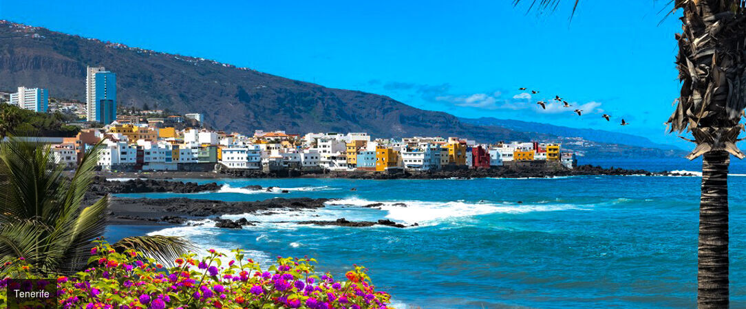 Radisson Resort & Residences Tenerife ★★★★★ - Adults Only 16+ - Élégance contemporaine et sérénité volcanique sur les hauteurs de Tenerife. - Tenerife, Îles Canaries