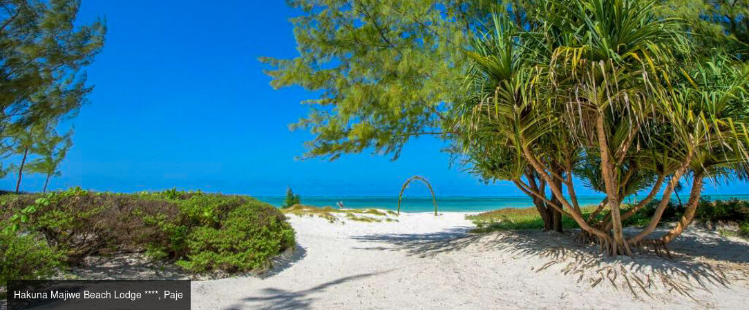 Safari d’exception de la savane africaine aux plages de Zanzibar -  - Tanzanie & Kenya