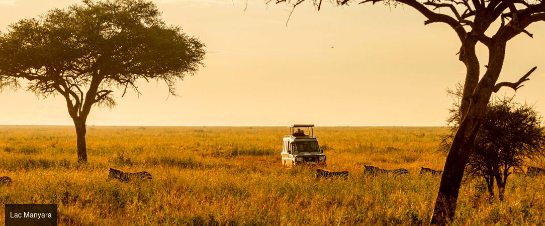 Safari d’exception de la savane africaine aux plages de Zanzibar -  - Tanzanie & Kenya