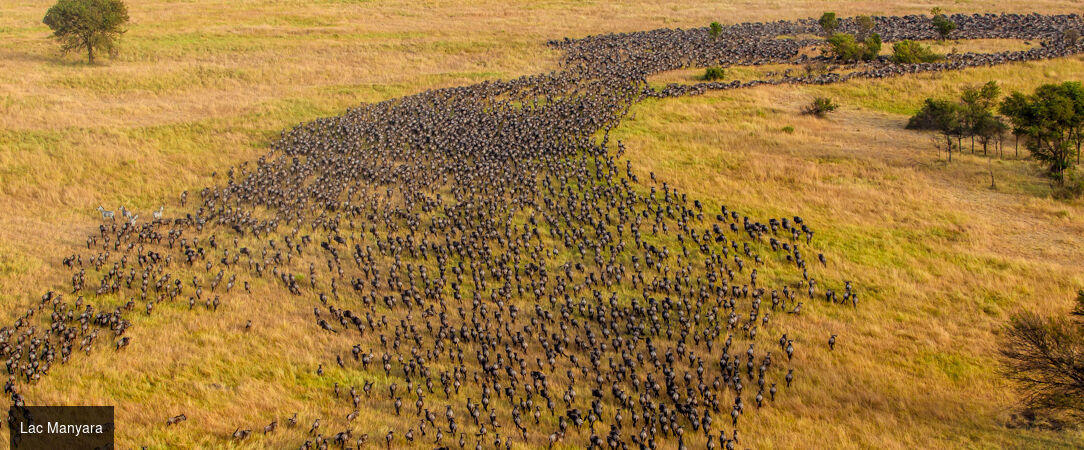 Safari d’exception de la savane africaine aux plages de Zanzibar -  - Tanzanie & Kenya