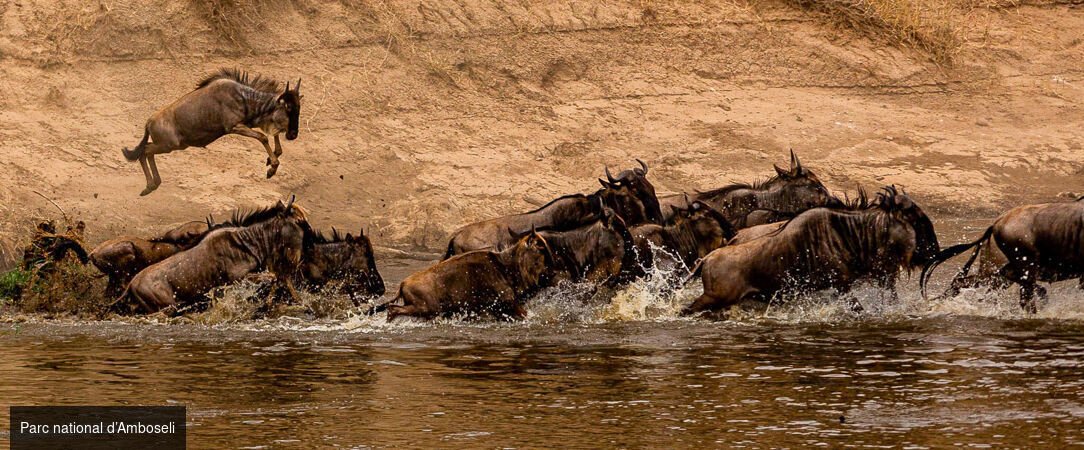Safari d’exception de la savane africaine aux plages de Zanzibar -  - Tanzanie & Kenya
