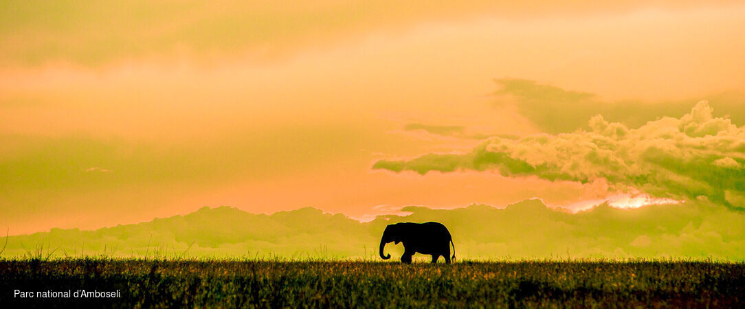 Safari d’exception de la savane africaine aux plages de Zanzibar -  - Tanzanie & Kenya