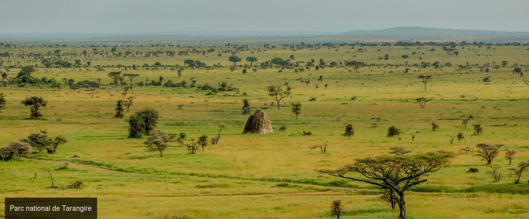 Safari d’exception de la savane africaine aux plages de Zanzibar -  - Tanzanie & Kenya
