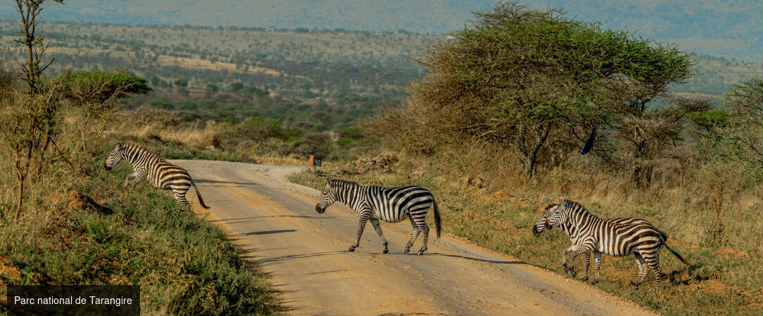 Safari d’exception de la savane africaine aux plages de Zanzibar -  - Tanzanie & Kenya