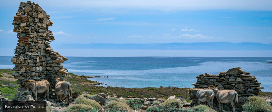 Sardaigne : côtes sauvages en liberté - Autotour de 7 nuits, une échappée entre mer émeraude, villages authentiques et panoramas grandioses de Sardaigne. - Italie : Sardaigne, Olbia & Alghero