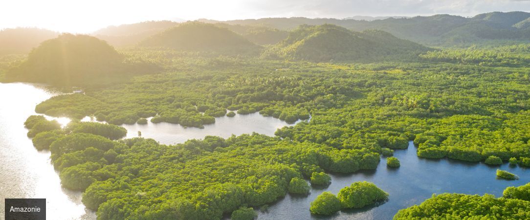 Trésors du Brésil, de Rio à l'Amazonie - Circuit de 12 nuits de Rio de Janeiro à Salvador de Bahia via l’Amazonie, entre plages mythiques, jungle et héritage colonial. - Brésil : Rio de Janeiro, Amazonie & Salvador de Bahia