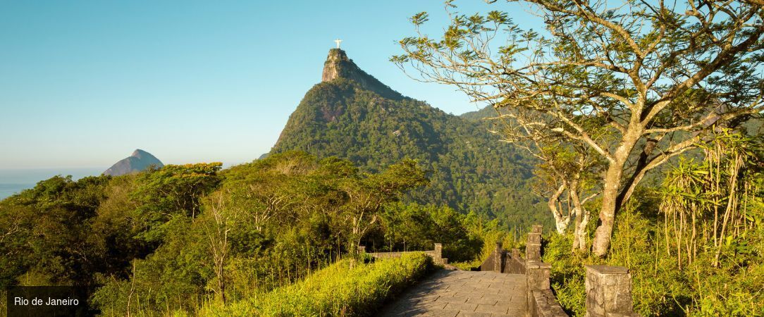 Trésors du Brésil, de Rio à l'Amazonie - Circuit de 12 nuits de Rio de Janeiro à Salvador de Bahia via l’Amazonie, entre plages mythiques, jungle et héritage colonial. - Brésil : Rio de Janeiro, Amazonie & Salvador de Bahia