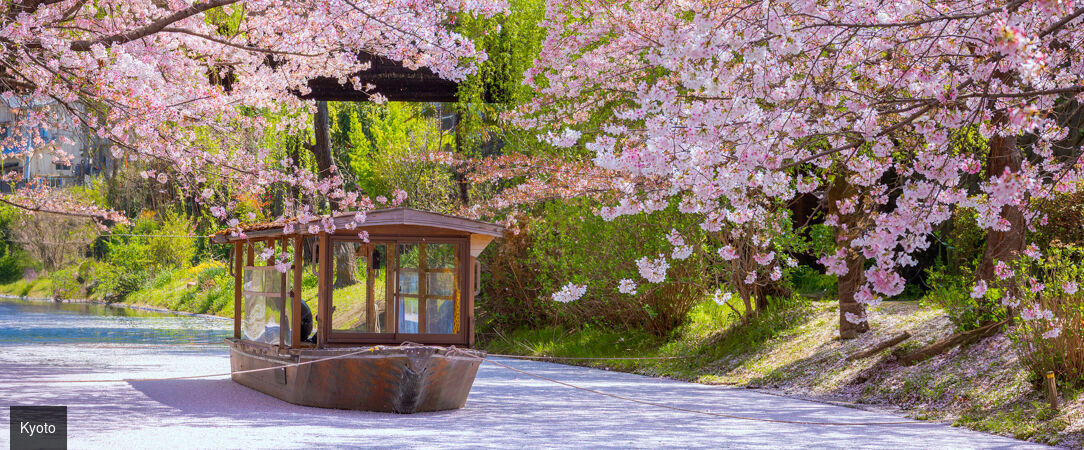 Tokyo, Kyoto et Osaka, avec l’entrée au Universal Studio - Circuit de 6 à 12 nuits à travers les trois villes emblématiques du Japon, entre temples millénaires, quartiers animés et culture pop. - Japon : Tokyo, Kyoto & Osaka