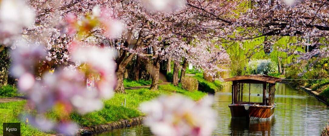 Tokyo, Kyoto et Osaka, avec l’entrée au Universal Studio - Circuit de 6 à 12 nuits à travers les trois villes emblématiques du Japon, entre temples millénaires, quartiers animés et culture pop. - Japon : Tokyo, Kyoto & Osaka