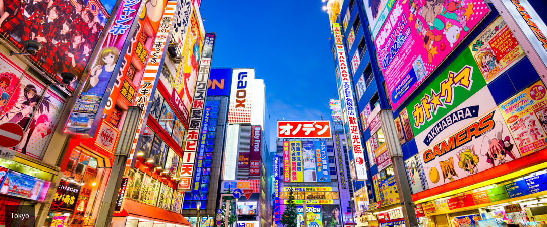 Tokyo, Kyoto et Osaka, avec l’entrée au Universal Studio - Circuit de 6 à 12 nuits à travers les trois villes emblématiques du Japon, entre temples millénaires, quartiers animés et culture pop. - Japon : Tokyo, Kyoto & Osaka