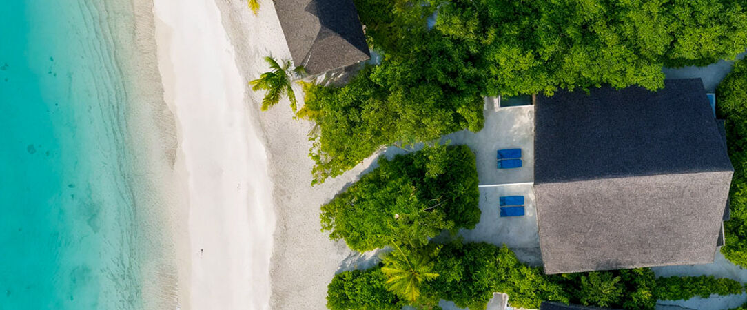 dusitD2 Feydhoo Maldives - All Inclusive Resort ★★★★★ - Villas sur pilotis, plongée sur récif maison et gastronomie thaïlandaise aux Maldives. - Maldives