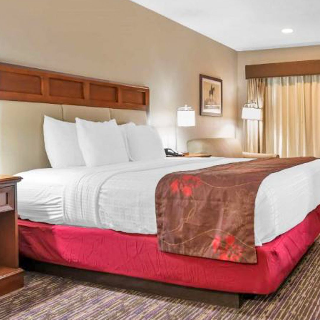 À la découverte du Sud : berceau du blues, de la country et du jazz - Autotour de X jour - États-Unis : d'Atlanta à La Nouvelle-Orléans