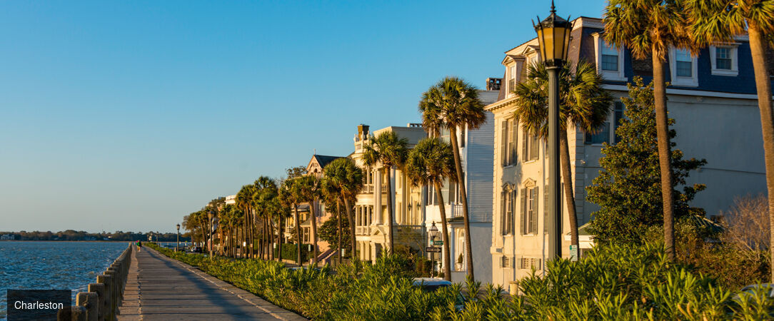 À la découverte du Sud : berceau du blues, de la country et du jazz - Autotour de 14 nuits à travers le Sud américain, d'Atlanta à La Nouvelle-Orléans, entre plantations historiques, musique live et traditions créoles. - États-Unis : Sud-Américain