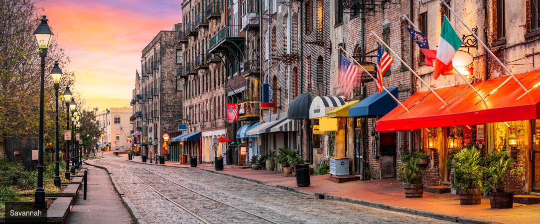 À la découverte du Sud : berceau du blues, de la country et du jazz - Autotour de 14 nuits à travers le Sud américain, d'Atlanta à La Nouvelle-Orléans, entre plantations historiques, musique live et traditions créoles. - États-Unis : Sud-Américain