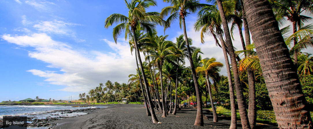 Grand tour d'Hawaii, de Waikiki aux volcans de la Big Island - Autotour de 12 nuits à travers les quatre îles emblématiques d'Hawaii, entre plages dorées, falaises vertigineuses et parcs volcaniques. - Hawaii : Honolulu à Big Island