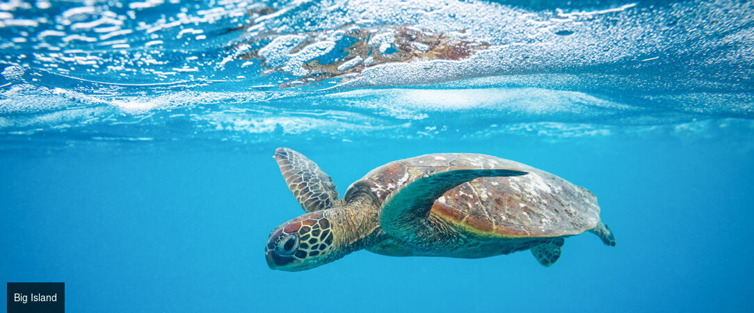 Grand tour d'Hawaii, de Waikiki aux volcans de la Big Island - Autotour de 12 nuits à travers les quatre îles emblématiques d'Hawaii, entre plages dorées, falaises vertigineuses et parcs volcaniques. - Hawaii : Honolulu à Big Island