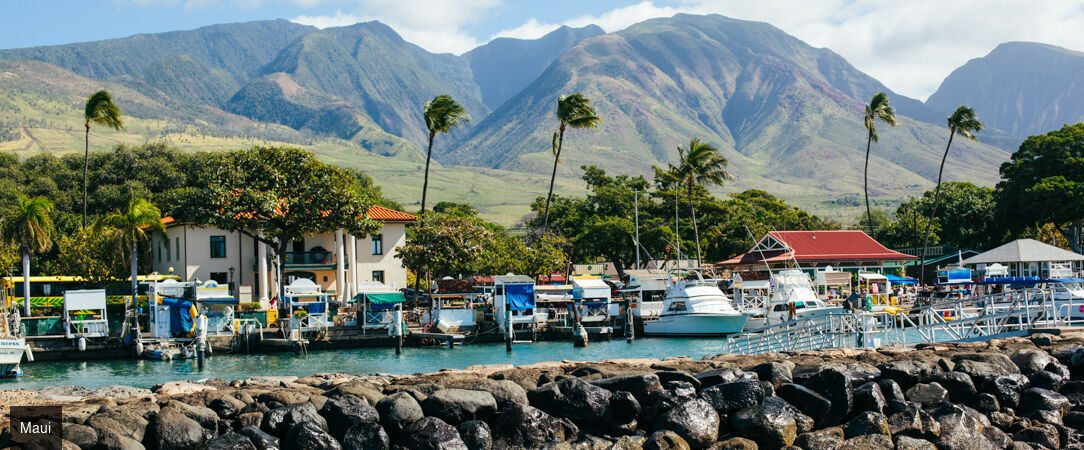 Grand tour d'Hawaii, de Waikiki aux volcans de la Big Island - Autotour de 12 nuits à travers les quatre îles emblématiques d'Hawaii, entre plages dorées, falaises vertigineuses et parcs volcaniques. - Hawaii : Honolulu à Big Island