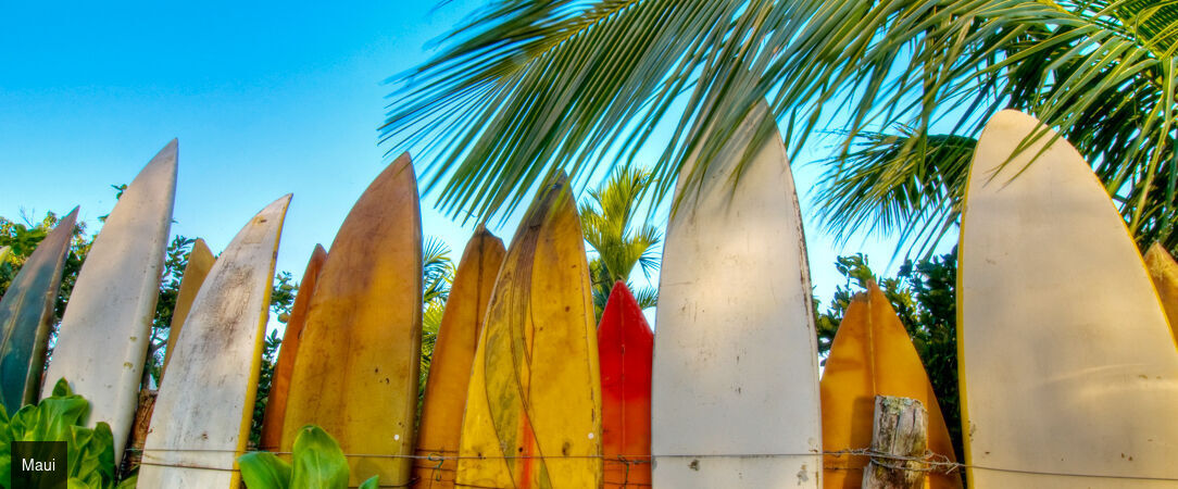Grand tour d'Hawaii, de Waikiki aux volcans de la Big Island - Autotour de 12 nuits à travers les quatre îles emblématiques d'Hawaii, entre plages dorées, falaises vertigineuses et parcs volcaniques. - Hawaii : Honolulu à Big Island
