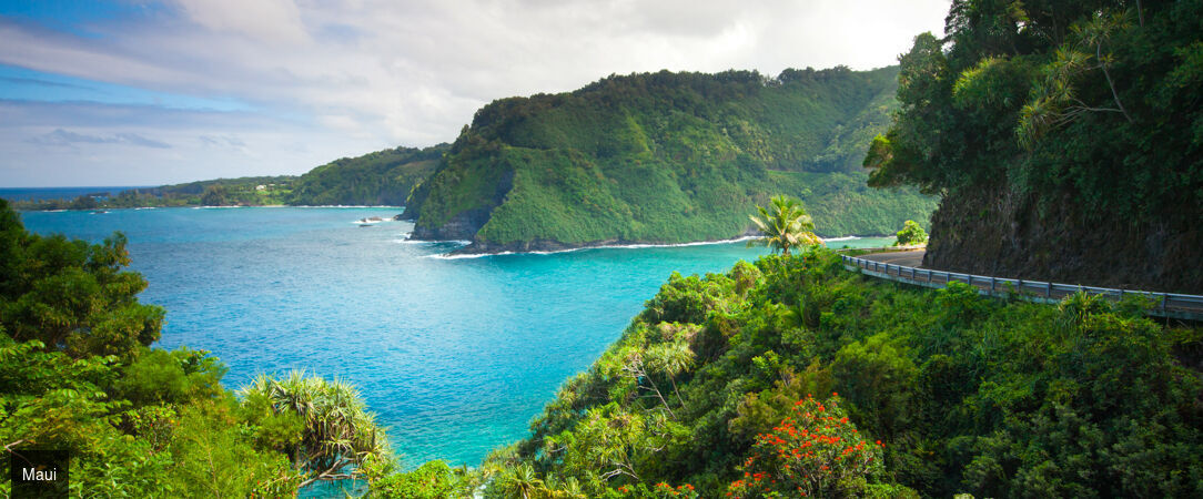 Grand tour d'Hawaii, de Waikiki aux volcans de la Big Island - Autotour de 12 nuits à travers les quatre îles emblématiques d'Hawaii, entre plages dorées, falaises vertigineuses et parcs volcaniques. - Hawaii : Honolulu à Big Island