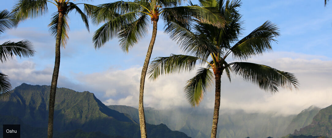 Grand tour d'Hawaii, de Waikiki aux volcans de la Big Island - Autotour de 12 nuits à travers les quatre îles emblématiques d'Hawaii, entre plages dorées, falaises vertigineuses et parcs volcaniques. - Hawaii : Honolulu à Big Island