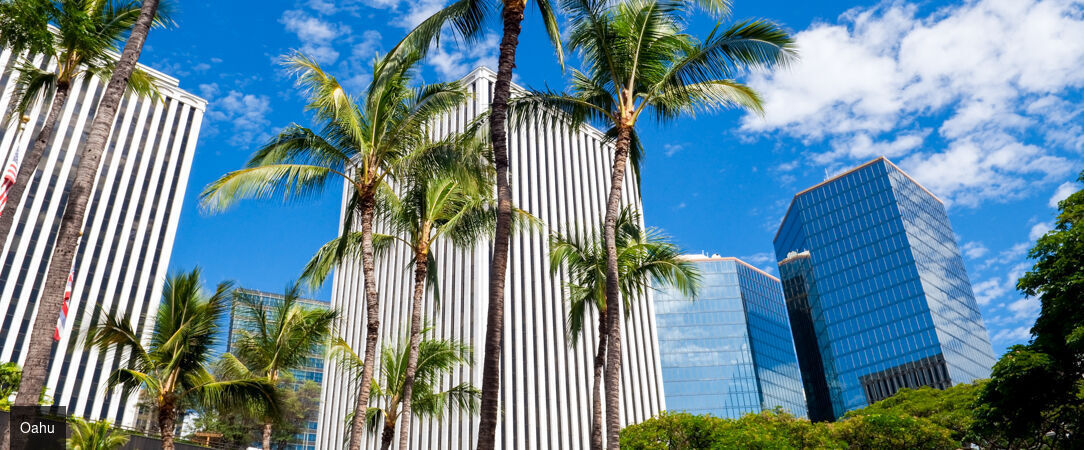 Grand tour d'Hawaii, de Waikiki aux volcans de la Big Island - Autotour de 12 nuits à travers les quatre îles emblématiques d'Hawaii, entre plages dorées, falaises vertigineuses et parcs volcaniques. - Hawaii : Honolulu à Big Island