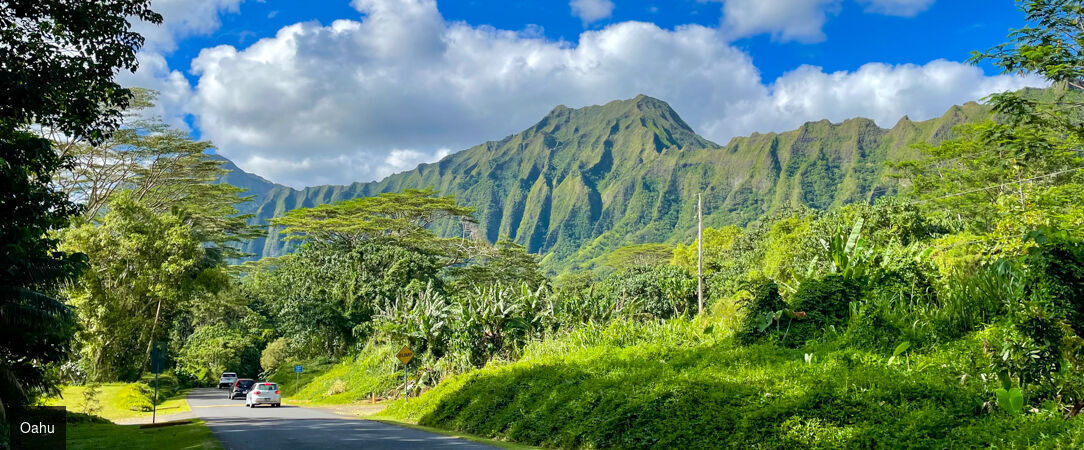 Grand tour d'Hawaii, de Waikiki aux volcans de la Big Island - Autotour de 12 nuits à travers les quatre îles emblématiques d'Hawaii, entre plages dorées, falaises vertigineuses et parcs volcaniques. - Hawaii : Honolulu à Big Island