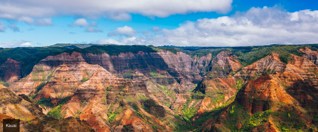 Grand tour d'Hawaii, de Waikiki aux volcans de la Big Island - Autotour de 12 nuits à travers les quatre îles emblématiques d'Hawaii, entre plages dorées, falaises vertigineuses et parcs volcaniques. - Hawaii : Honolulu à Big Island