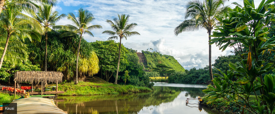 Grand tour d'Hawaii, de Waikiki aux volcans de la Big Island - Autotour de 12 nuits à travers les quatre îles emblématiques d'Hawaii, entre plages dorées, falaises vertigineuses et parcs volcaniques. - Hawaii : Honolulu à Big Island
