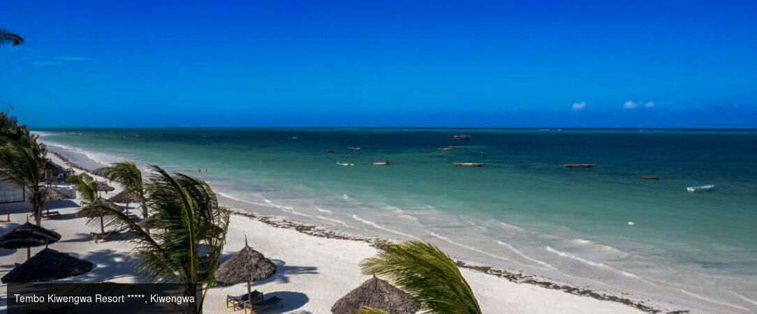 Des plaines d'Afrique aux eaux de Zanzibar - Circuit de 10 à 14 nuits à travers les plus grands parcs d'Afrique de l'Est, du Tarangire au Masai Mara, avant une escapade balnéaire à Zanzibar. - Tanzanie, Kenya & Zanzibar : Safari & Océan Indien