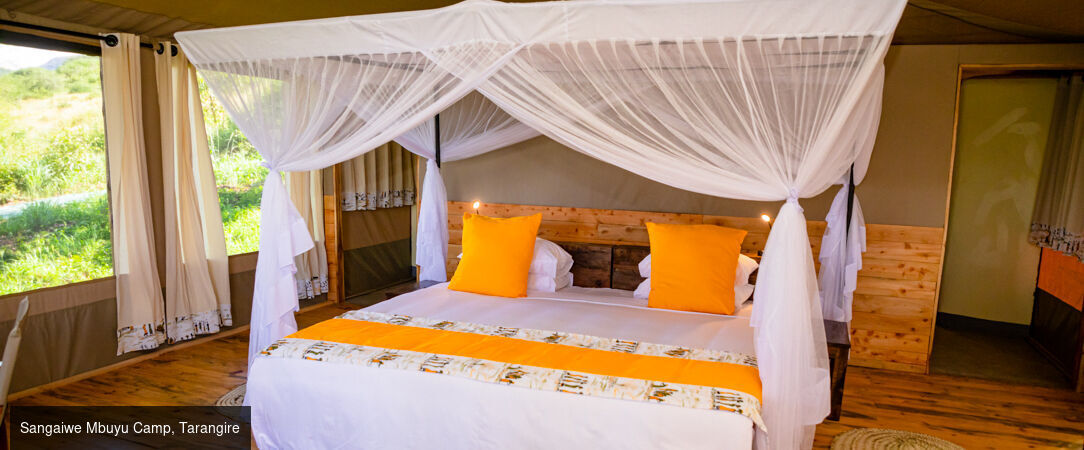 Des plaines d'Afrique aux eaux de Zanzibar - Circuit de 10 à 14 nuits à travers les plus grands parcs d'Afrique de l'Est, du Tarangire au Masai Mara, avant une escapade balnéaire à Zanzibar. - Tanzanie, Kenya & Zanzibar : Safari & Océan Indien