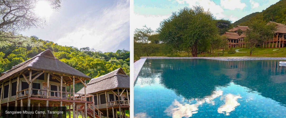 Des plaines d'Afrique aux eaux de Zanzibar - Circuit de 10 à 14 nuits à travers les plus grands parcs d'Afrique de l'Est, du Tarangire au Masai Mara, avant une escapade balnéaire à Zanzibar. - Tanzanie, Kenya & Zanzibar : Safari & Océan Indien
