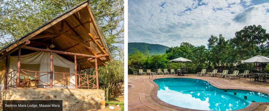Des plaines d'Afrique aux eaux de Zanzibar - Circuit de 10 à 14 nuits à travers les plus grands parcs d'Afrique de l'Est, du Tarangire au Masai Mara, avant une escapade balnéaire à Zanzibar. - Tanzanie, Kenya & Zanzibar : Safari & Océan Indien