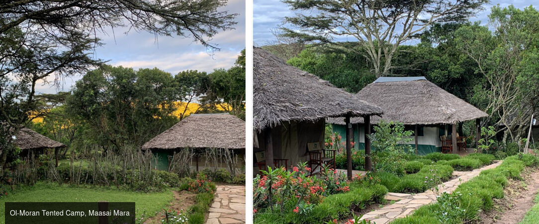 Des plaines d'Afrique aux eaux de Zanzibar -  - Tanzanie, Kenya & Zanzibar : Safari & Océan Indien