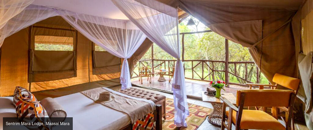 Des plaines d'Afrique aux eaux de Zanzibar -  - Tanzanie, Kenya & Zanzibar : Safari & Océan Indien
