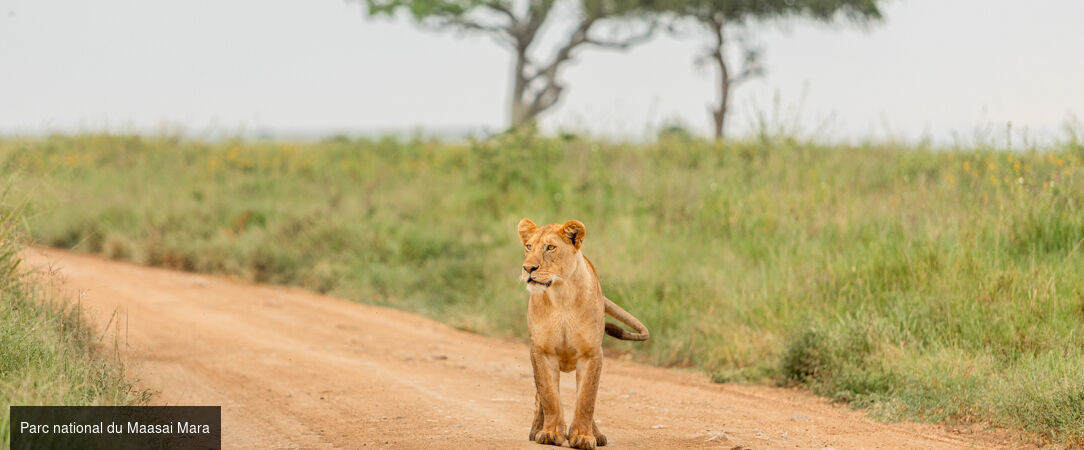 Des plaines d'Afrique aux eaux de Zanzibar -  - Tanzanie, Kenya & Zanzibar : Safari & Océan Indien