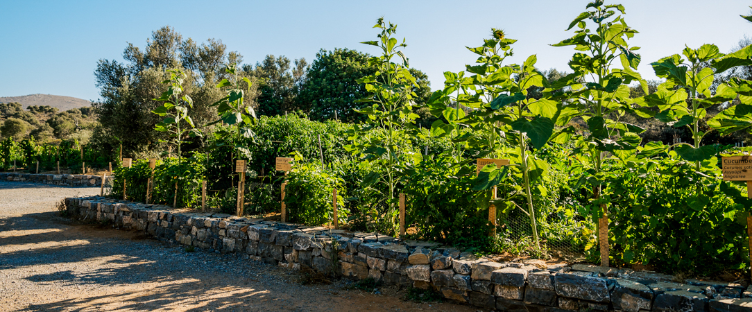 Village Heights Resort ★★★★★ -  - Crète, Grèce