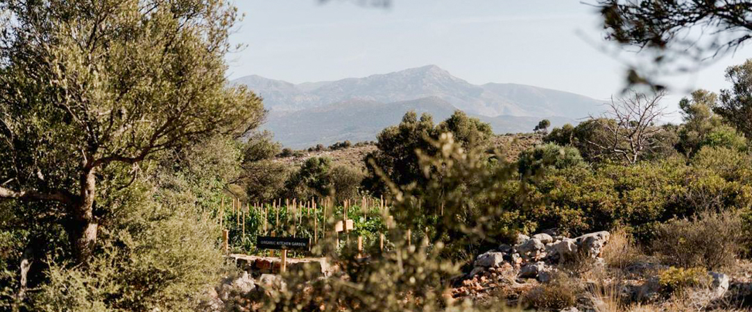 Village Heights Resort ★★★★★ -  - Crète, Grèce