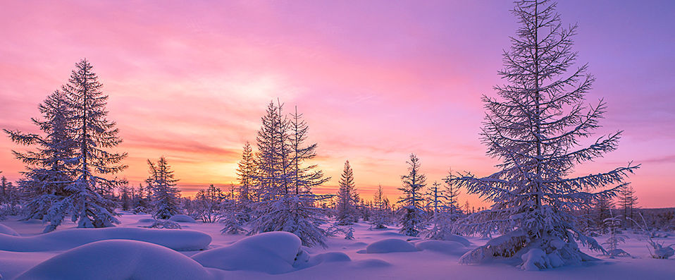 Aurores boréales & nuit unique dans un igloo lapon - Paradis blanc, igloo de verre & aurores boréales en Laponie finlandaise. - Laponie, Finlande