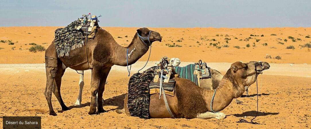 Djerba et le désert, deux visages de la Tunisie -  - Tunisie : Djerba & Désert du Sahara