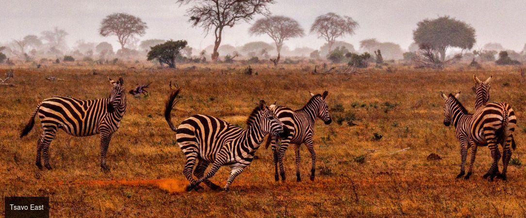 Kenya : Évasion sauvage & Farniente - Safari de 8 nuits entre les terres rouges de Tsavo et les eaux turquoise de Diani Beach, mêlant aventure sauvage et farniente tropical. - Kenya : Dani Beach & Tsavo