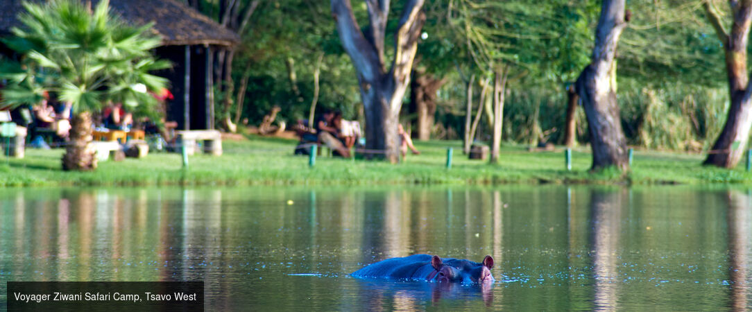 Kenya : Évasion sauvage & Farniente - Safari de 8 nuits entre les terres rouges de Tsavo et les eaux turquoise de Diani Beach, mêlant aventure sauvage et farniente tropical. - Kenya : Dani Beach & Tsavo