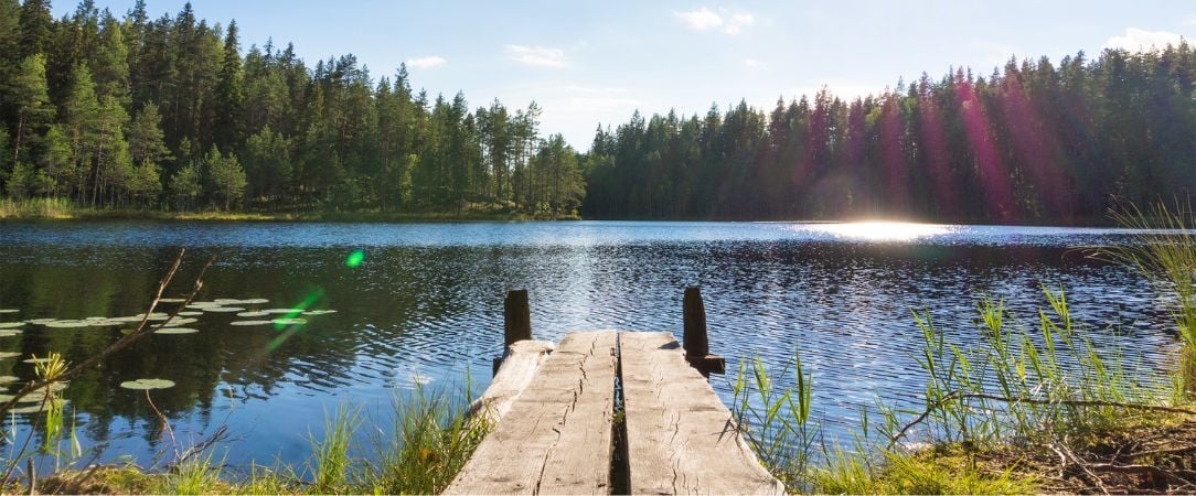 Été sauvage en Laponie finlandaise - Séjour de 4 à 6 nuits au cœur de la Laponie finlandaise, entre randonnées, canoë sur la rivière Kairijoki et traditions arctiques sous le soleil de minuit - Finlande : Laponie & Savukoski