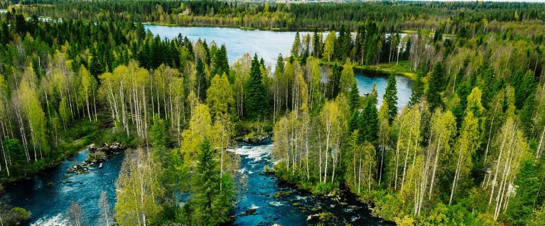Été sauvage en Laponie finlandaise - Séjour de 4 à 6 nuits au cœur de la Laponie finlandaise, entre randonnées, canoë sur la rivière Kairijoki et traditions arctiques sous le soleil de minuit - Finlande : Laponie & Savukoski