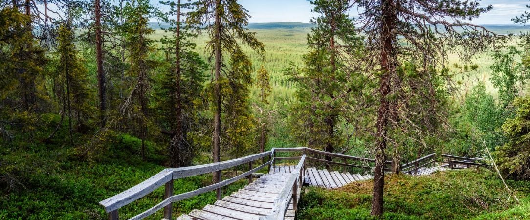 Été sauvage en Laponie finlandaise - Séjour de 4 à 6 nuits au cœur de la Laponie finlandaise, entre randonnées, canoë sur la rivière Kairijoki et traditions arctiques sous le soleil de minuit - Finlande : Laponie & Savukoski