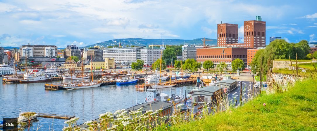 La vie est un long Fjord tranquille - Circuit groupé de 7 nuits à travers les plus beaux fjords de Norvège, de la Route des Trolls au Geirangerfjord classé à l'UNESCO, avec guide francophone tout au long du voyage. - Norvège : de Oslo à Lillehammer, Ålesund, Bergen